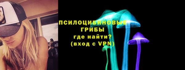 дмт Алексеевка