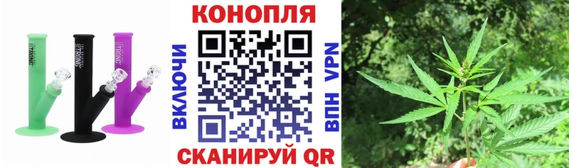 Шишки марихуана Bruce Banner  дарк нет официальный сайт  Опочка  где купить наркоту 